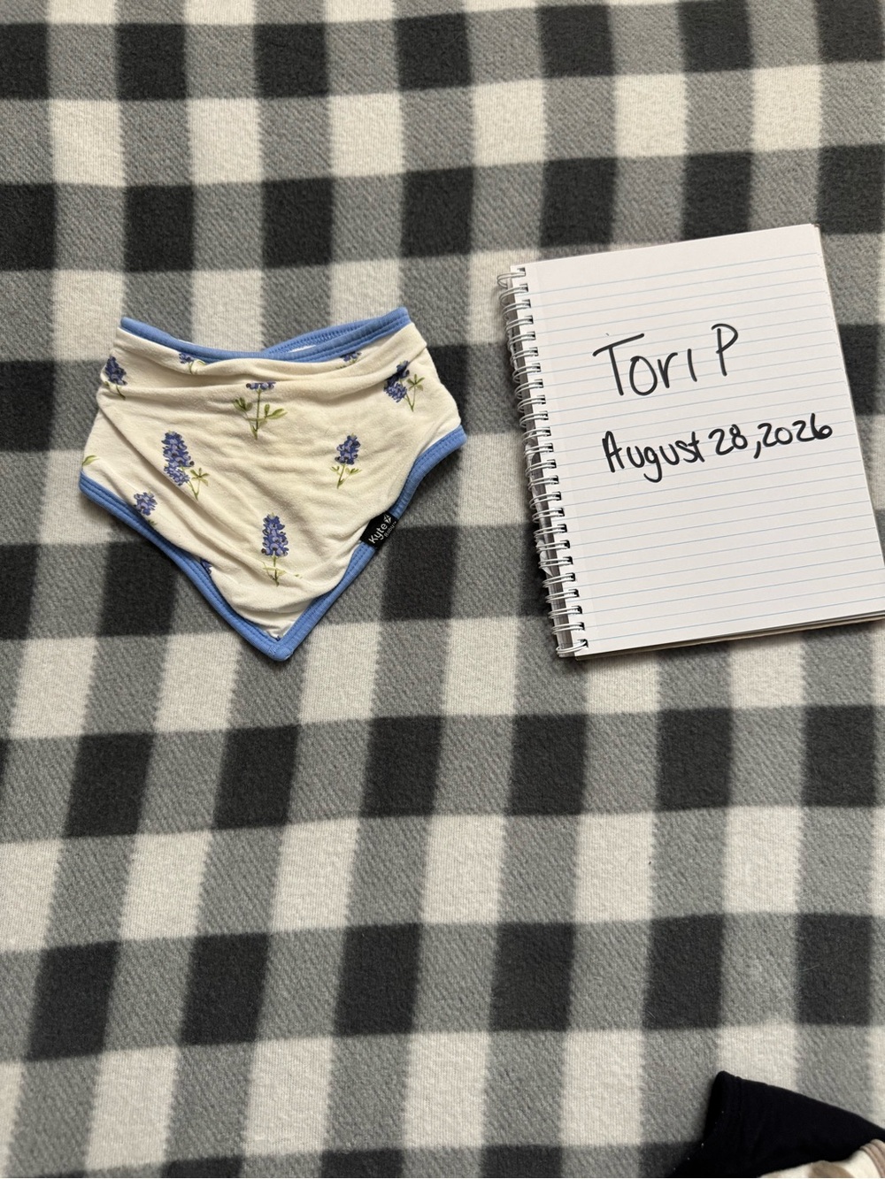 Kyte BABY Periwinkle Bluebonnet Bib